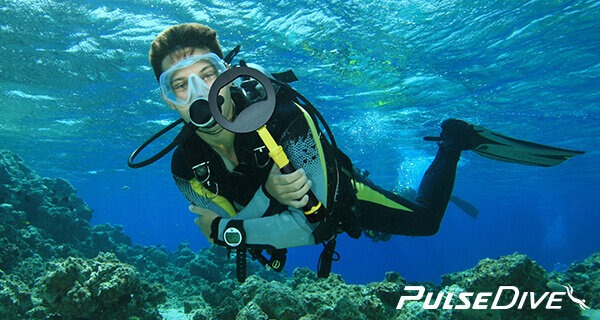 Pulse dive pointer cihazı, Pulse Dive Pointer Özellikleri, Pulse Dive Pinter Fiyatı